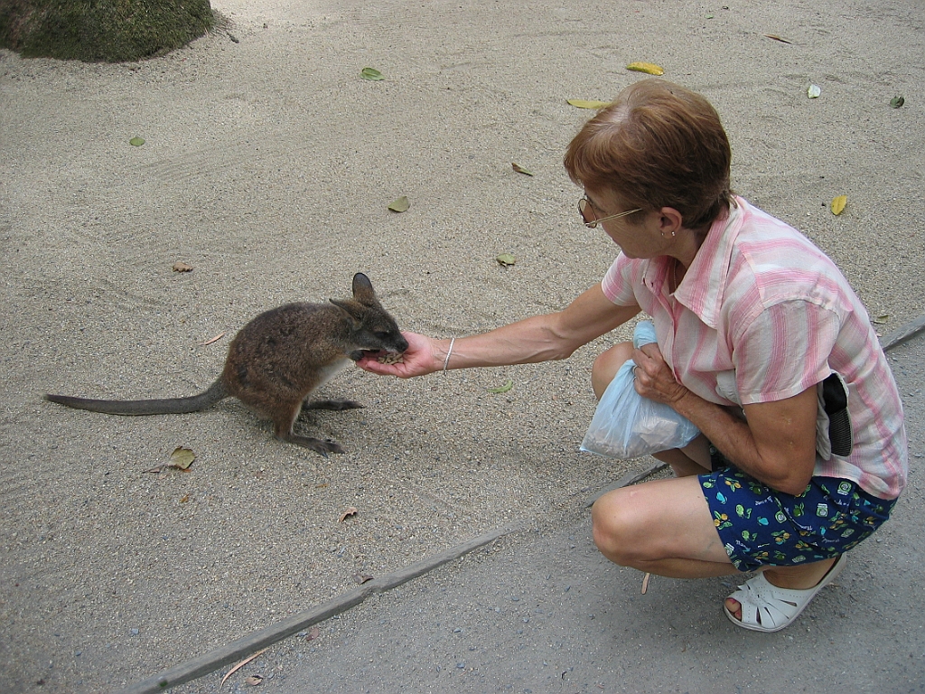 074 Port Douglas Wildlife Habitat.jpg